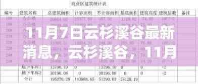 云杉溪谷最新动态深度评测,11月7日最新消息一览