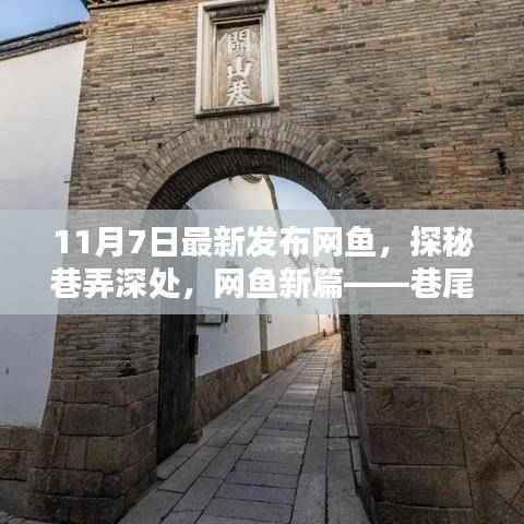 巷尾网鱼馆,探寻深处魅力,开启网鱼新篇章