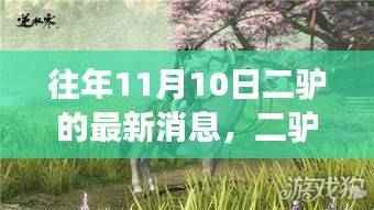 二驴秋日奇遇揭秘,自然美景之旅的最新篇章(往年11月10日最新消息)
