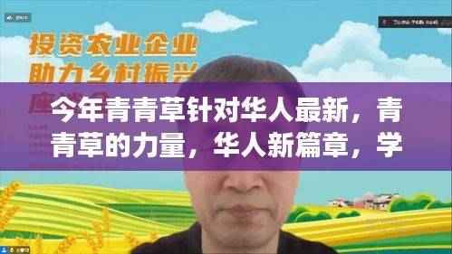 青青草的力量,华人新篇章与学习变革的鼓舞之旅