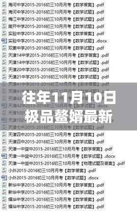 往年11月10日极品鳌婿全方位指南，从新手到精英的步骤解析