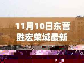 11月10日东营胜宏荣域最新动态详解,掌握最新资讯的指南