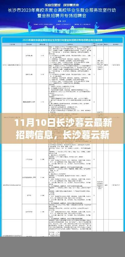 长沙暮云最新招聘信息探秘,11月10日全新招聘动态揭秘