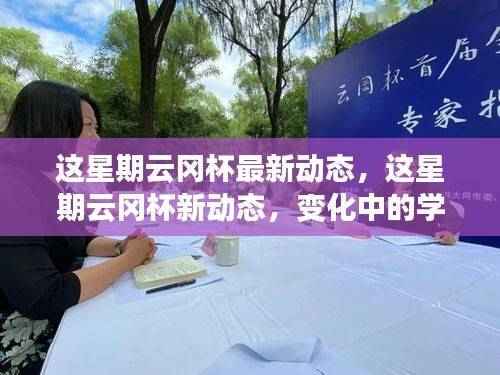 云冈杯新动态,变化中的学习之旅与自信成就感的融合之旅