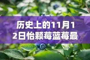 怡颗莓蓝莓的奇缘,历史深处的蓝莓故事与隐秘瑰宝