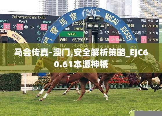 马会传真-澳门,安全解析策略_EJC60.61本源神祗