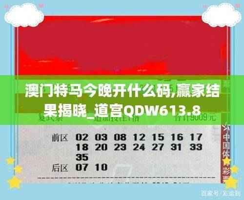 澳门特马今晚开什么码,赢家结果揭晓_道宫QDW613.8