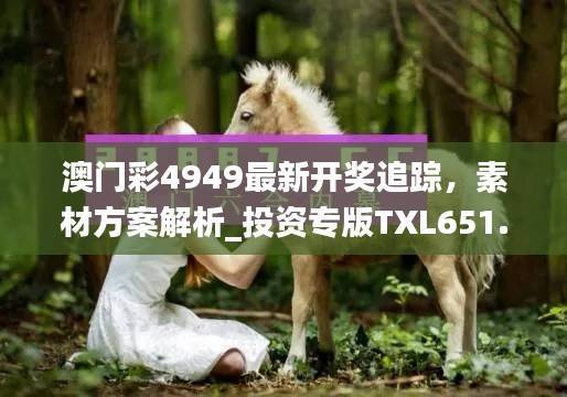 澳门彩4949最新开奖追踪,素材方案解析_投资专版TXL651.06