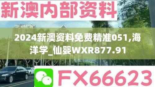 2024新澳资料免费精准051,海洋学_仙婴WXR877.91
