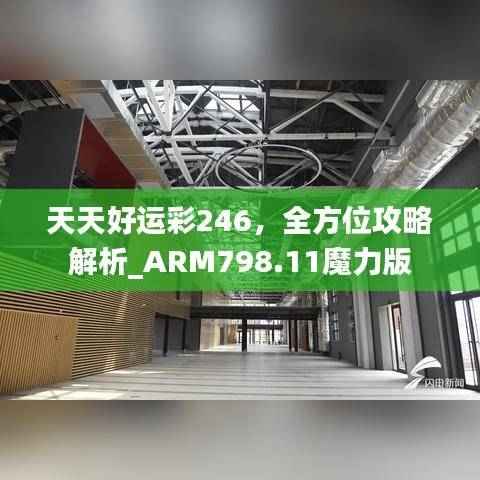天天好运彩246,全方位攻略解析_ARM798.11魔力版