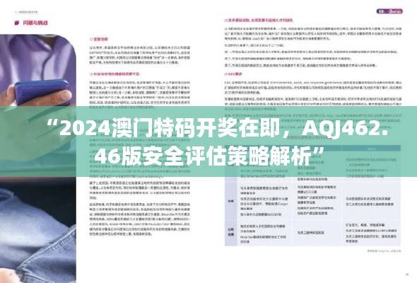 “2024澳门特码开奖在即，AQJ462.46版安全评估策略解析”