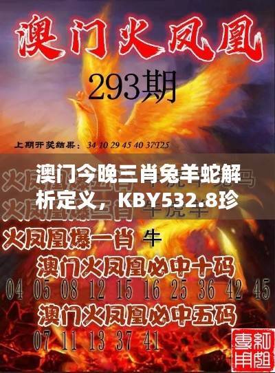 澳门今晚三肖兔羊蛇解析定义,KBY532.8珍贵版研究新释