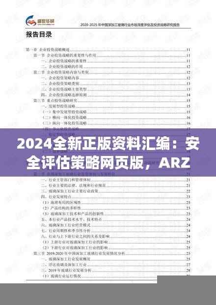 2024全新正版资料汇编:安全评估策略网页版,ARZ549.04免费提供