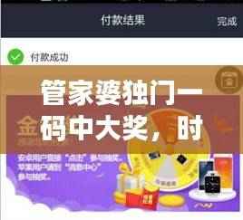 管家婆独门一码中大奖,时代资讯解析实施——预览版AOP904.29