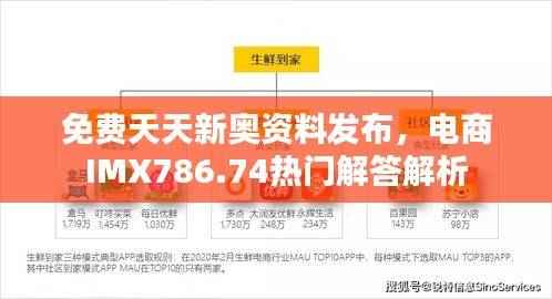 免费天天新奥资料发布,电商IMX786.74热门解答解析