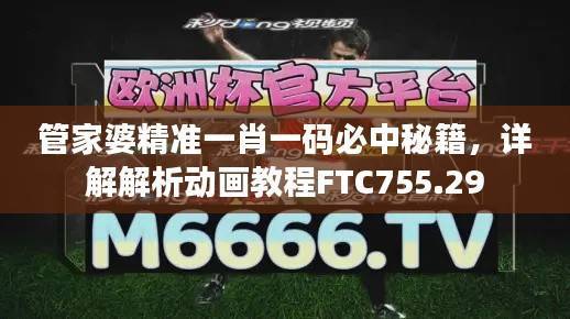 管家婆精准一肖一码必中秘籍,详解解析动画教程FTC755.29