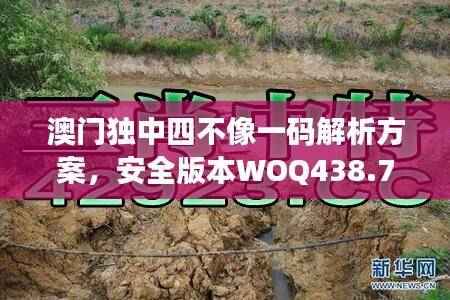 澳门独中四不像一码解析方案,安全版本WOQ438.78更新
