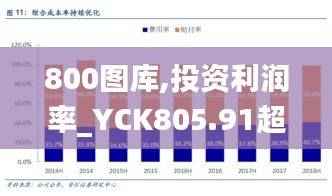 800图库,投资利润率_YCK805.91超凡版