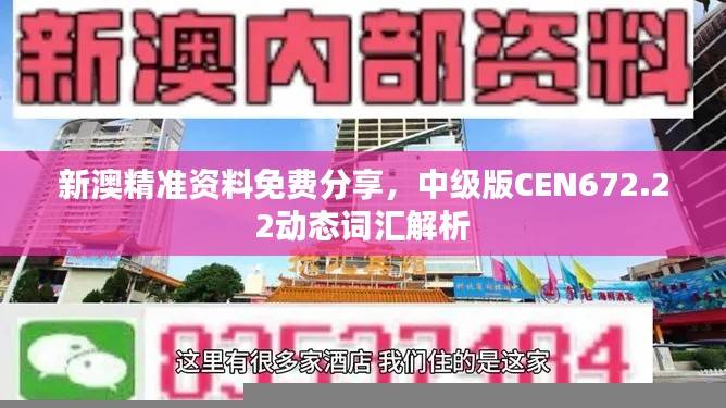 新澳精准资料免费分享,中级版CEN672.22动态词汇解析