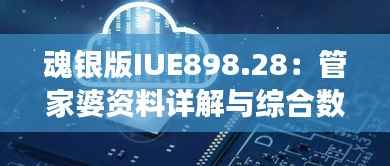 魂银版IUE898.28:管家婆资料详解与综合数据解读