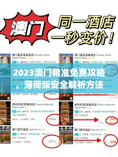 2023澳门精准免费攻略,薄荷版安全解析方法_XHU161.86