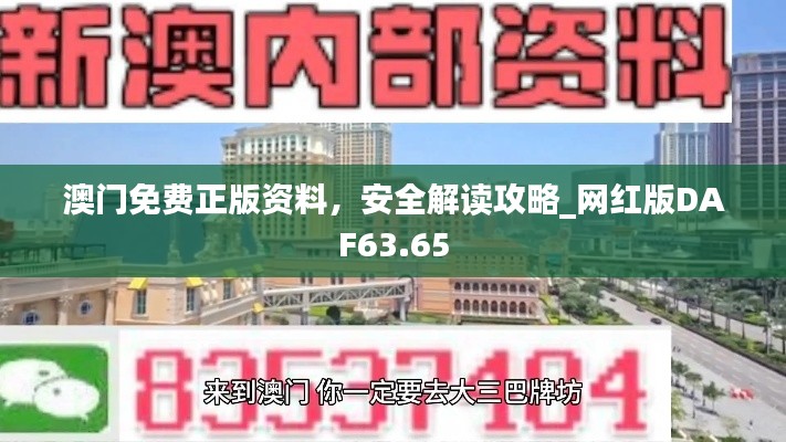 澳门免费正版资料,安全解读攻略_网红版DAF63.65