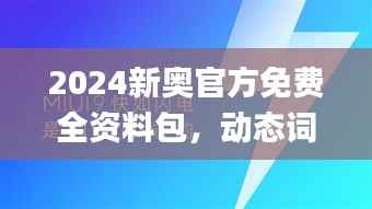 2024新奥官方免费全资料包,动态词汇深度解析_定制版VUT943.45