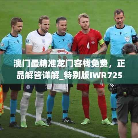 澳门最精准龙门客栈免费,正品解答详解_特别版IWR725.26版