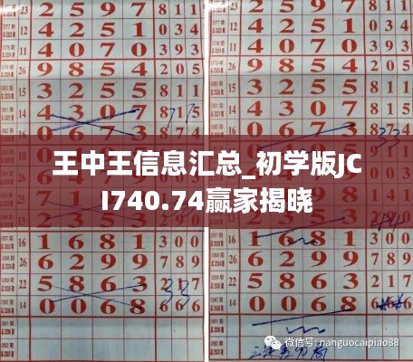 王中王信息汇总_初学版JCI740.74赢家揭晓