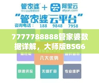 7777788888管家婆数据详解,大师版BSG633.7资料解读
