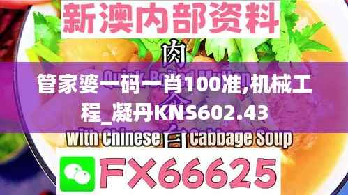 管家婆一码一肖100准,机械工程_凝丹KNS602.43