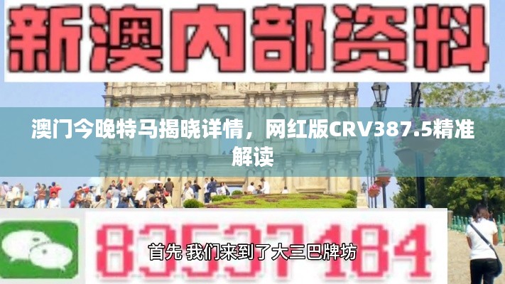 澳门今晚特马揭晓详情,网红版CRV387.5精准解读