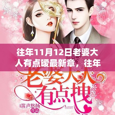 往年11月12日老婆大人有点暧最新章深度评测与介绍