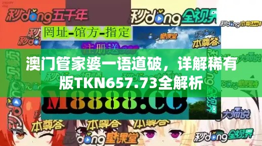 澳门管家婆一语道破,详解稀有版TKN657.73全解析
