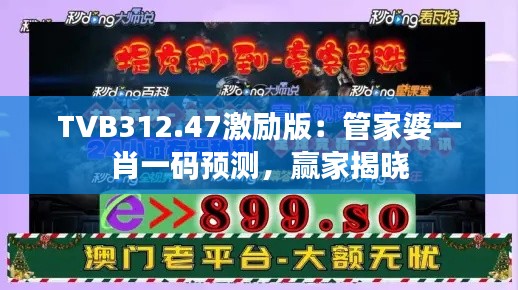 TVB312.47激励版:管家婆一肖一码预测,赢家揭晓
