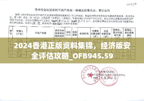 2024香港正版资料集锦,经济版安全评估攻略_OFB945.59