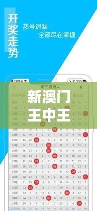 新澳门王中王全中奖秘籍解析:TQN275.24实战攻略