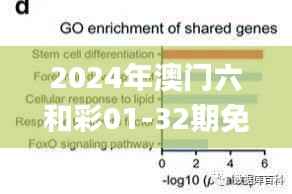 2024年澳门六和彩01-32期免费资料查询及分析解读_官方SMN562.18版