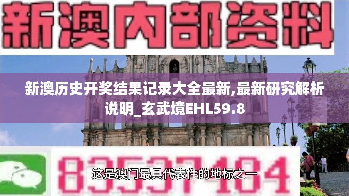 新澳历史开奖结果记录大全最新,最新研究解析说明_玄武境EHL59.8