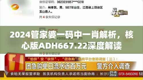 2024管家婆一码中一肖解析,核心版ADH667.22深度解读