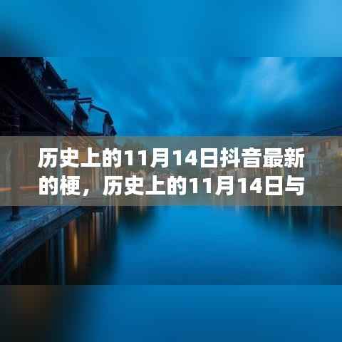 历史上的11月14日抖音新梗揭秘,透视文化现象背后的深层意义探索