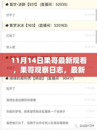 果哥观察日志，最新观看体验分享（XXXX年11月14日）