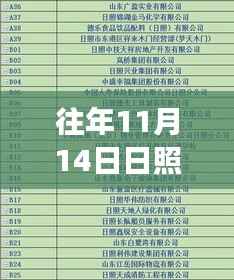 日照富凯木业招工现象探析,某观点视角下的观察与思考