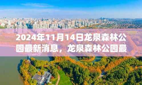 揭秘龙泉森林公园未来规划与发展蓝图(最新消息报道)