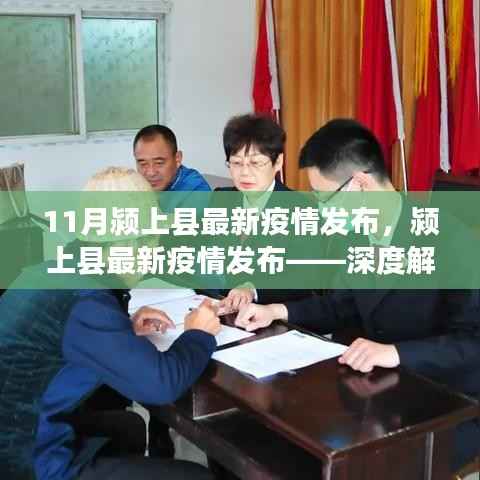 11月颍上县疫情最新动态,深度解读与要点解析