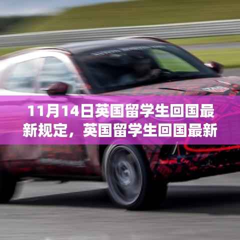 英国留学生回国最新规定详解,特性、体验、竞品对比及用户群体分析报告出炉