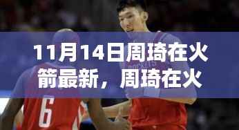 周琦在火箭的最新表现深度解析与观点碰撞,11月14日更新观察