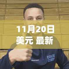 11月20日美元最新动态解析,市场影响深入剖析