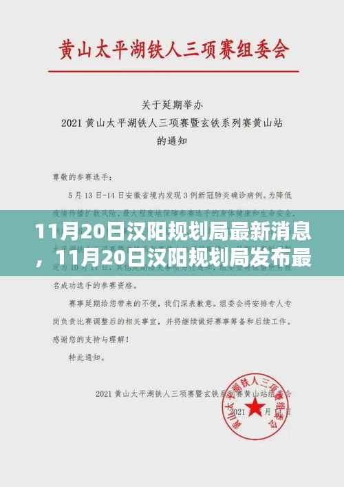 11月20日汉阳规划局最新消息,11月20日汉阳规划局发布最新规划动态