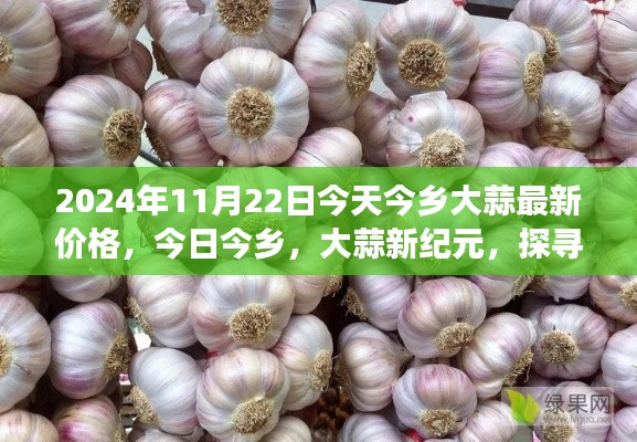 今日今乡大蒜价格揭秘,变迁、影响与新纪元探索